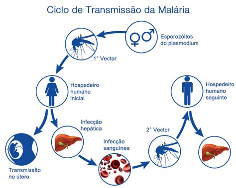 malaria transmissão-1